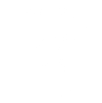 Pura Vibra